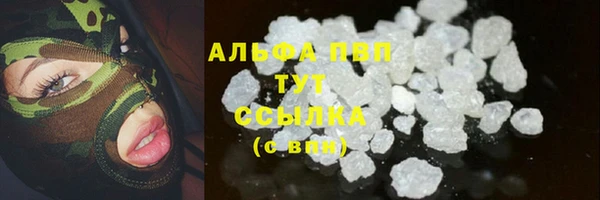 соль ск Новодвинск